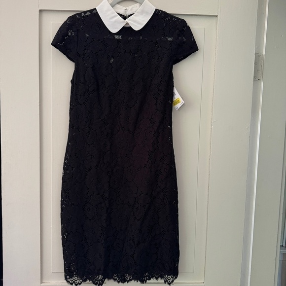 Lauren Ralph Lauren Black Lace Collared Dress - Picture 9 of 13